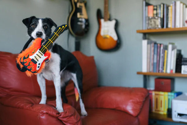 P.L.A.Y. 90's Classic - Electric Guitar - Image 3