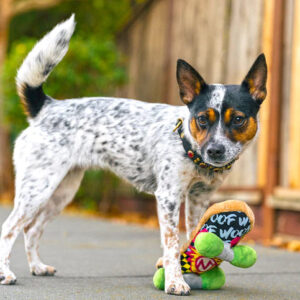 P.L.A.Y. 90’s Classic – Skateboard