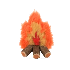 P.L.A.Y. Camp Corbin – Cozy Campfire
