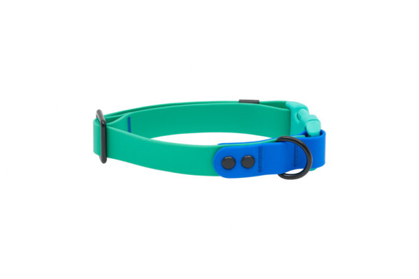 RC Pets Waterproof Collar