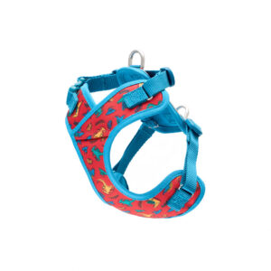 RC Pets Petite Explorer Harness