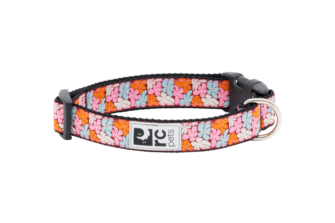 RC Pets Dog Clip Collar Boho