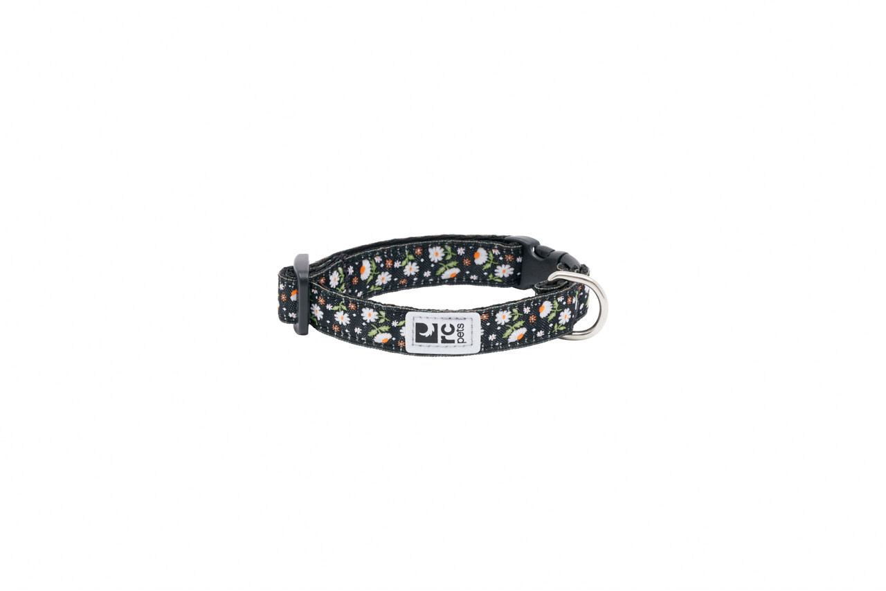 RC Pets Dog Petite Clip Collar Daisies