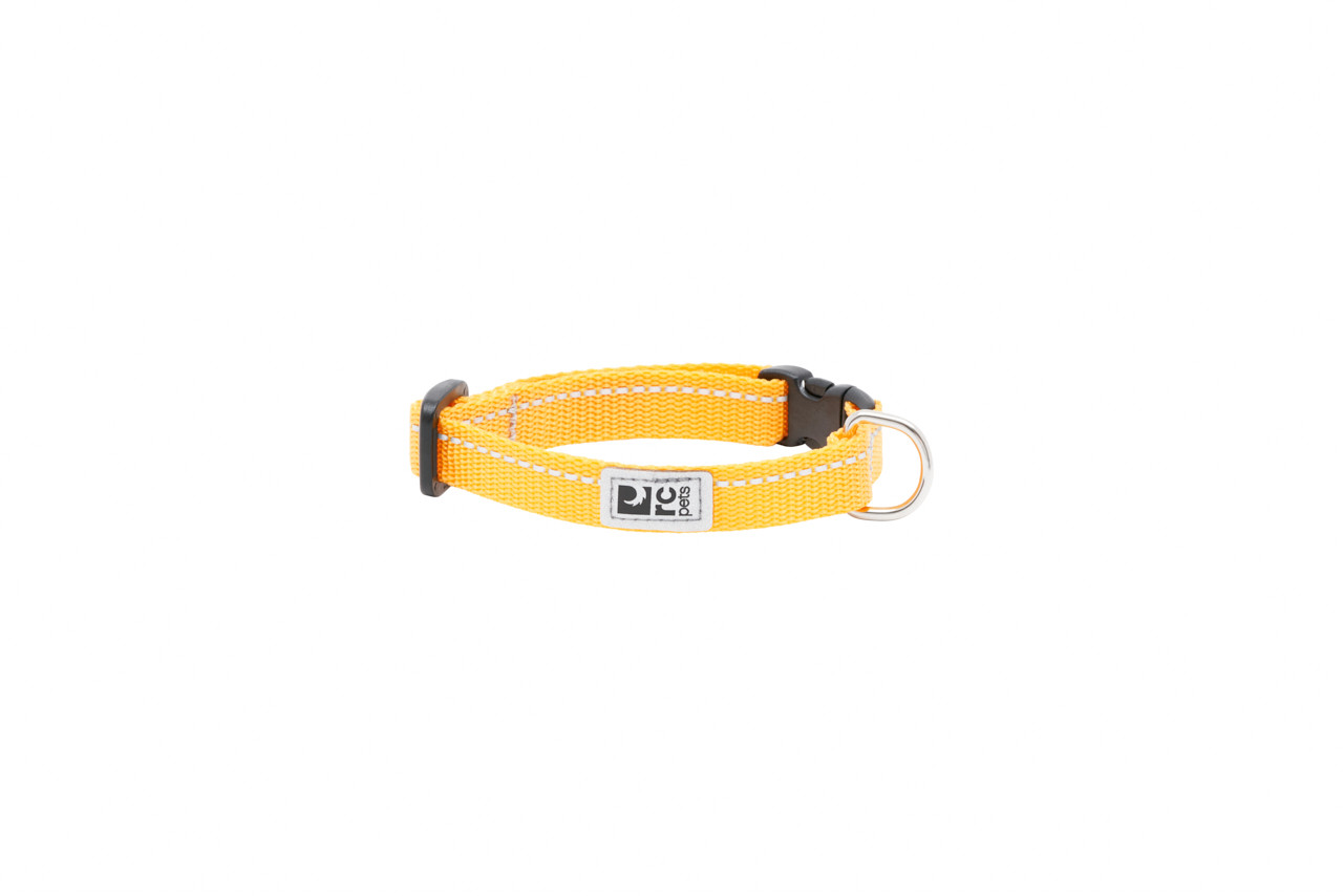 RC Pets Petite Primary Clip Collar Marigold