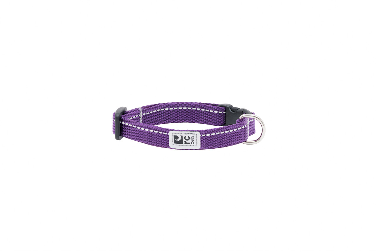 RC Pets Petite Primary Clip Collar Purple