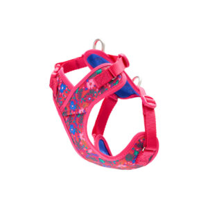 RC Pets Petite Explorer Harness Frida