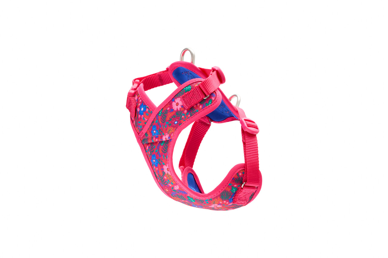 RC Pets Petite Explorer Harness Frida