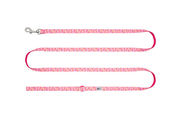 RC Pets Petite Leash