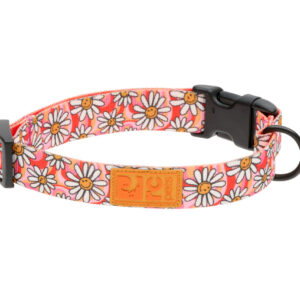 RC Pets Dog Eco Clip Collar Daisy Joy