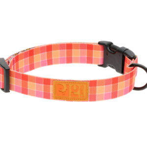 RC Pets Dog Eco Clip Collar Gleeful Gingham