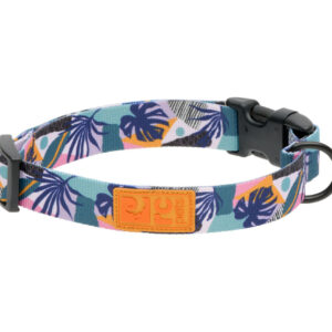RC Pets Dog Eco Clip Collar Mystic Monstera