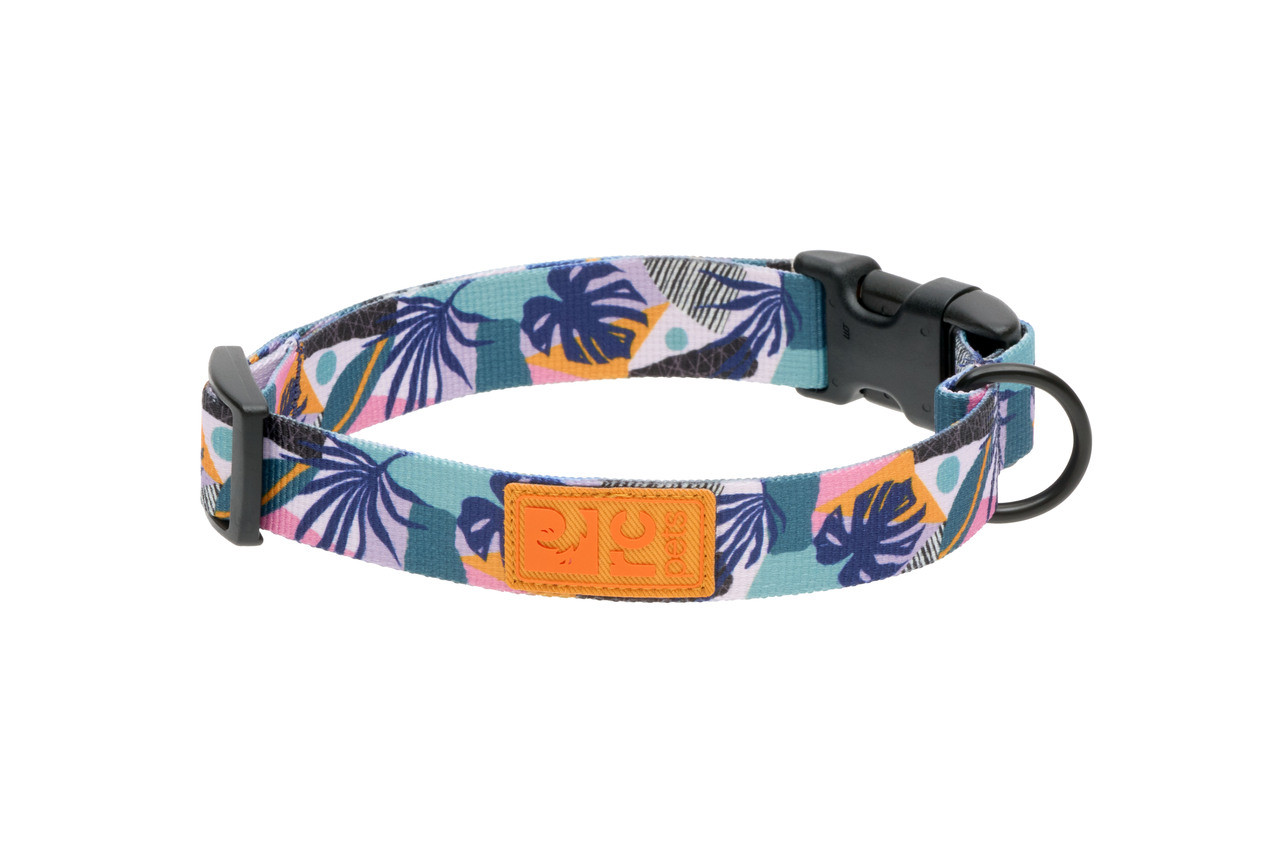 RC Pets Dog Eco Clip Collar Mystic Monstera