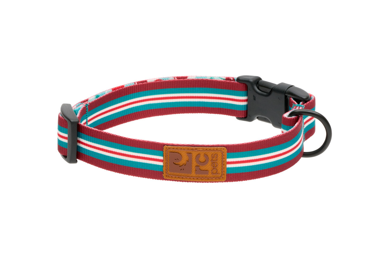 RC Pets Dog Eco Clip Collar Orchard Stripes