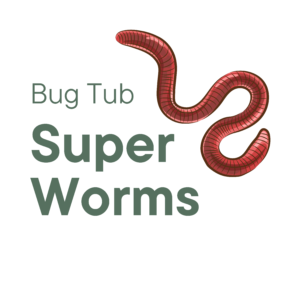 Bug Tub Superworms