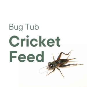 Bug Tub Cricket Feed