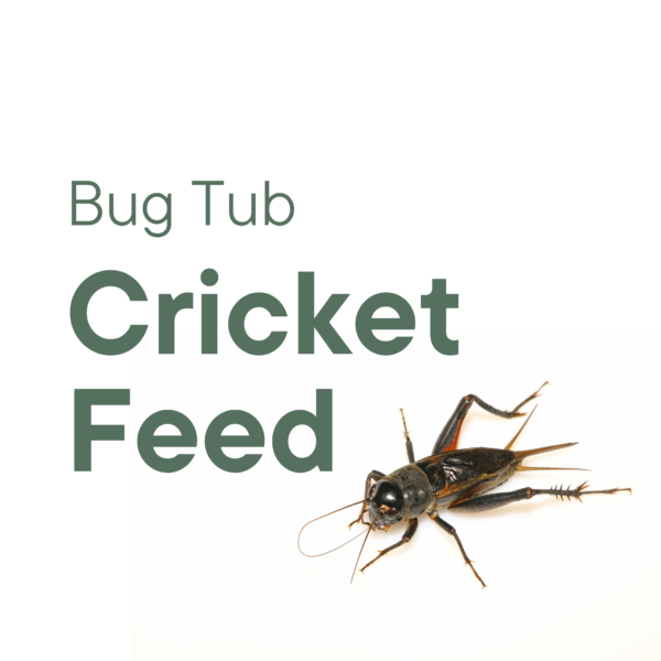 Bug Tub Cricket Feed