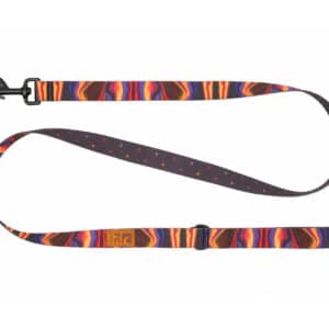 RC Pets Eco Leash Cosmic Aura / Dapple