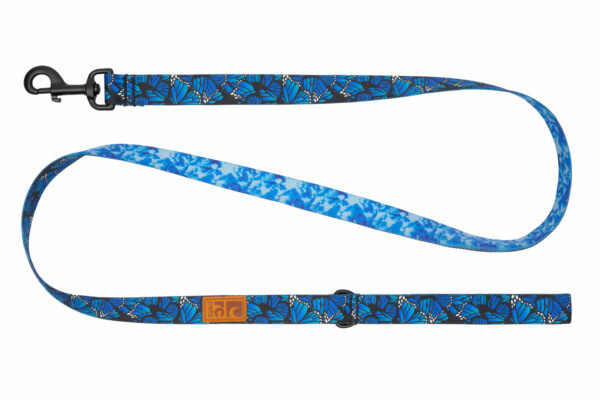 RC Pets Eco Leash
