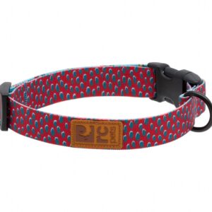 RC Pets Dog Eco Clip Collar Dotted Delight