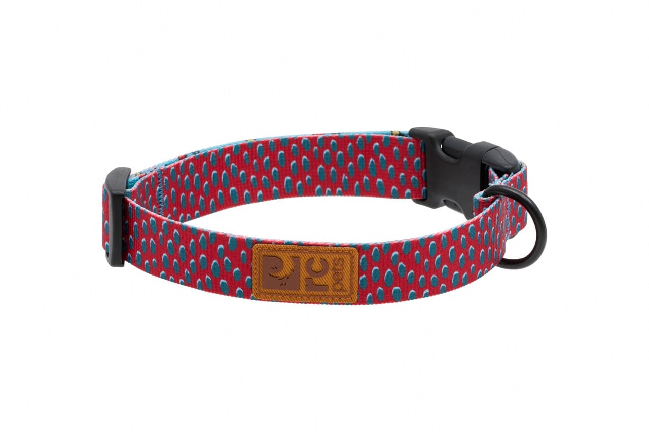 RC Pets Dog Eco Clip Collar Dotted Delight