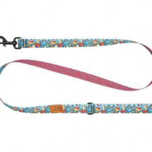 RC Pets Eco Leash Funky Fungi / Dotted Delight