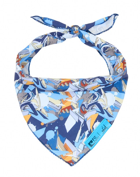 RC Pets Artist Series Bandana - DAIM
