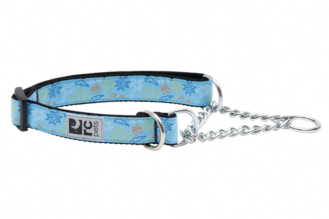 RC Pets Dog Training Collar Boardshorts