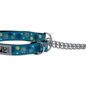 RC Pets Dog Training Collar Fresh Tracks Teal