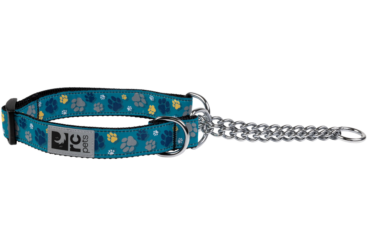 RC Pets Dog Training Collar Fresh Tracks Teal