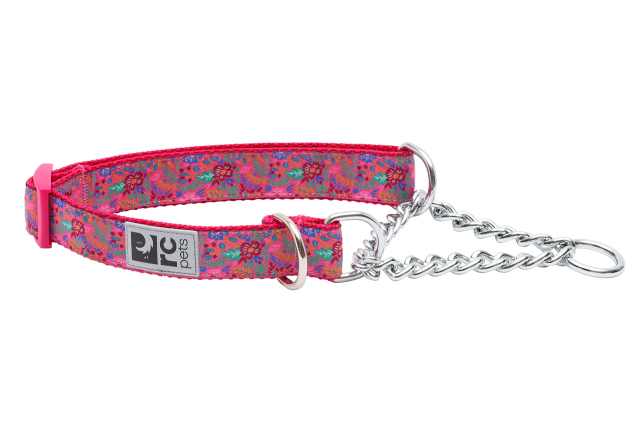 RC Pets Dog Training Collar Frida