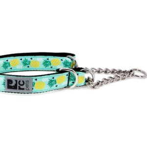 RC Pets Dog Training Collar Pineapple Parade