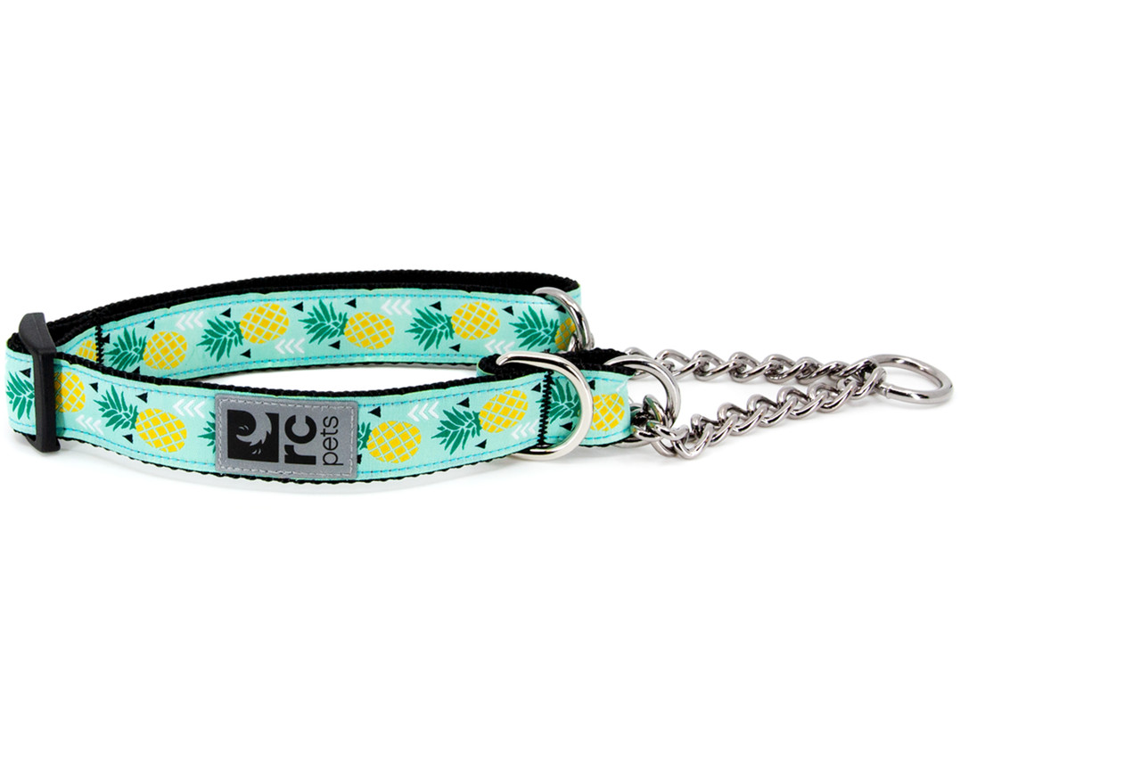 RC Pets Dog Training Collar Pineapple Parade