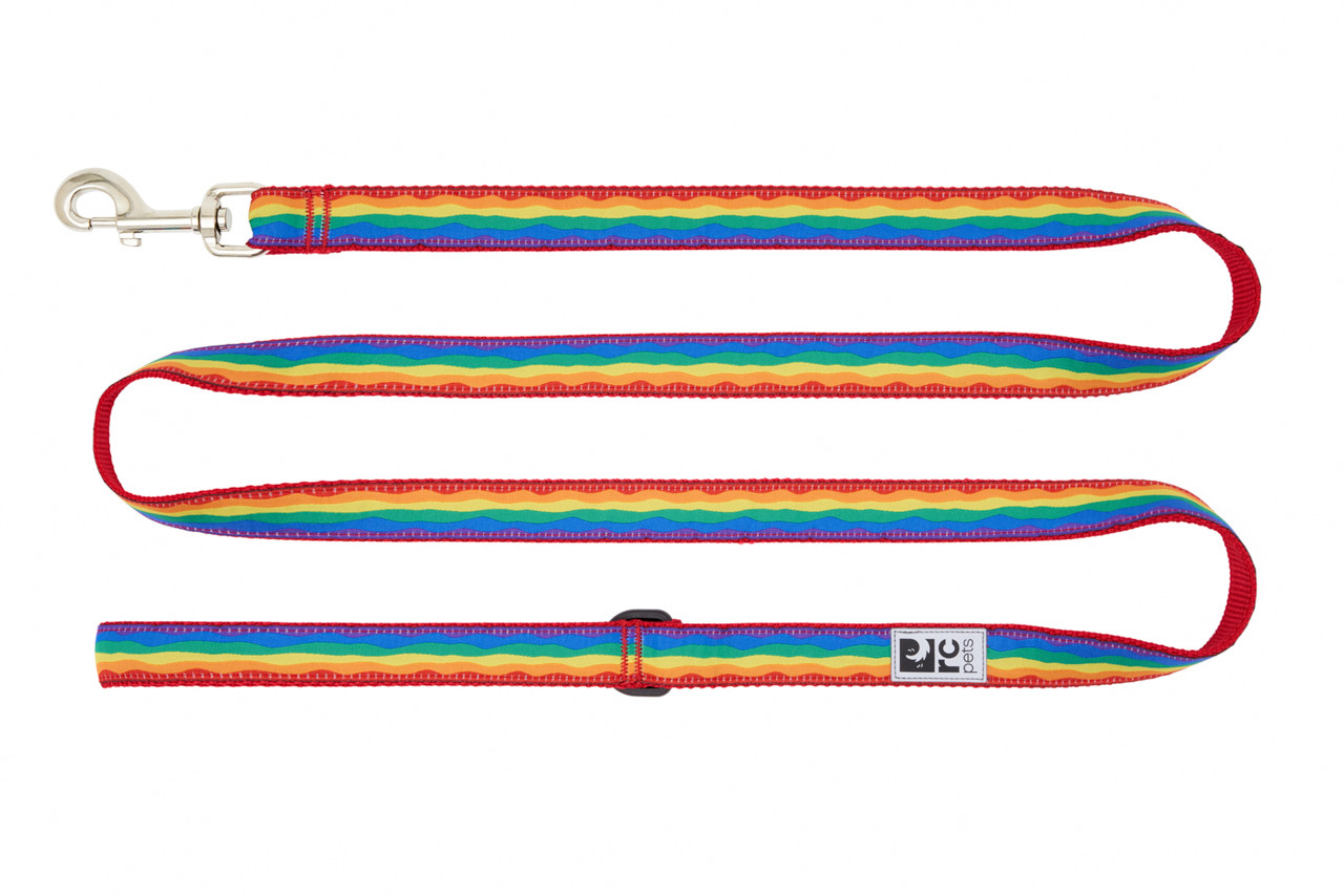 RC Pets Dog Leash Horizon