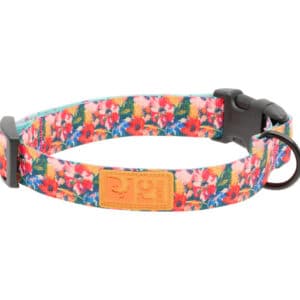 RC Pets Dog Eco Clip Collar Wildflowers