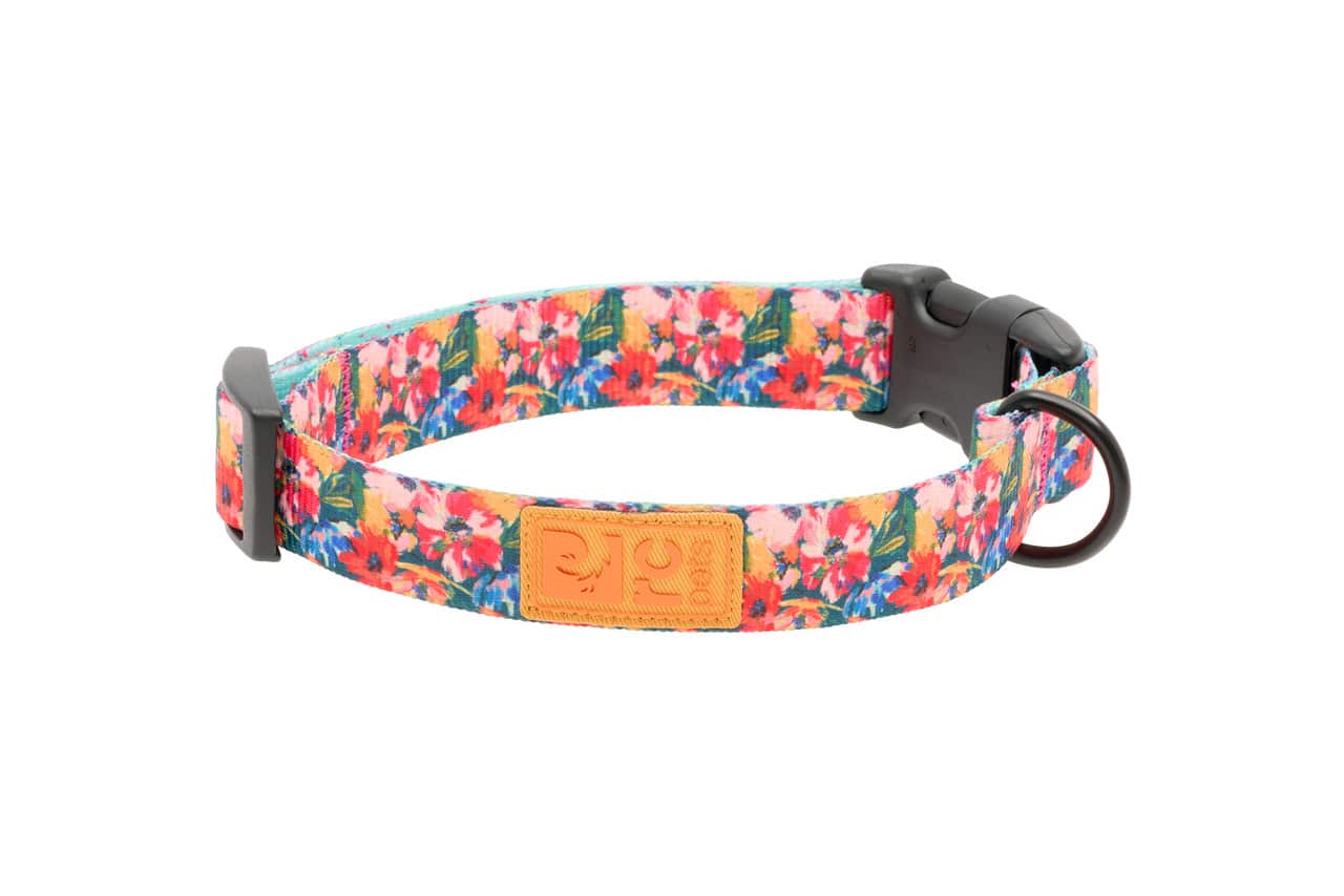 RC Pets Dog Eco Clip Collar Wildflowers