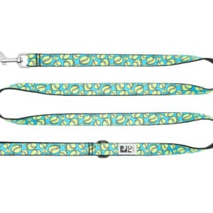 RC Pets Dog Leash Fetch