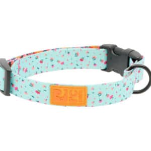 RC Pets Dog Eco Clip Collar Dainty Mint