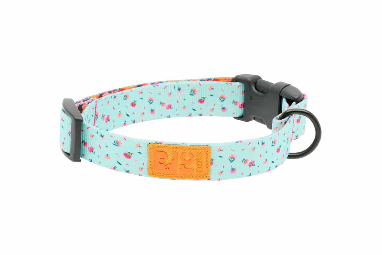 RC Pets Dog Eco Clip Collar Dainty Mint