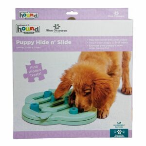 Outward Hound Nina Ottosson Puppy Hide N Slide Green